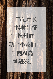书记市长“挂帅出征” 杭州催动“小龙们”向AI高地进发