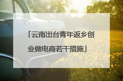 云南出台青年返乡创业做电商若干措施