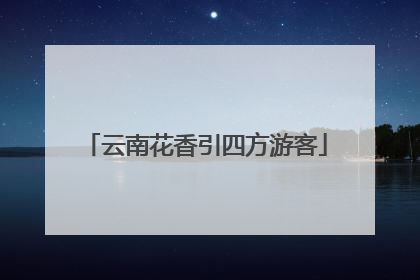 云南花香引四方游客