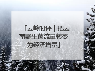 云岭时评｜把云南野生菌流量转变为经济增量