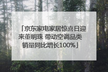 京东家电家居惊喜日迎来董明珠 带动空调品类销量同比增长100%