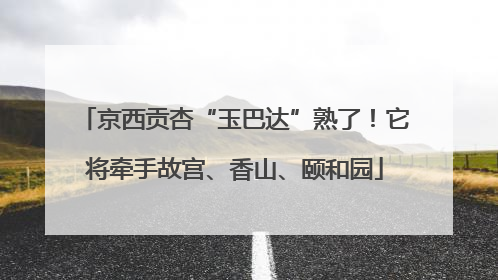 京西贡杏“玉巴达”熟了！它将牵手故宫、香山、颐和园