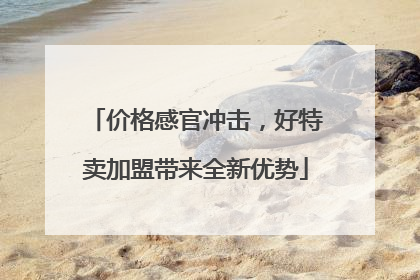 价格感官冲击，好特卖加盟带来全新优势