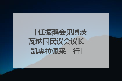 任振鹤会见博茨瓦纳国民议会议长凯奥拉佩采一行