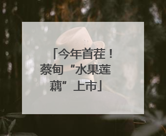 今年首茬！蔡甸“水果莲藕”上市