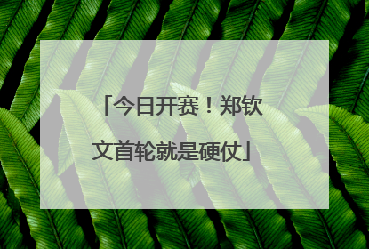 今日开赛！郑钦文首轮就是硬仗