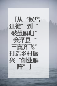 从“候鸟迁徙”到“破茧雁归” 会泽县“三翼齐飞”打造乡村振兴“创业雁阵”