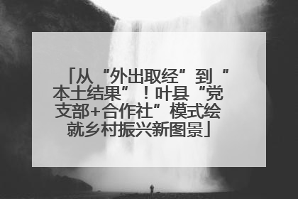从“外出取经”到“本土结果”！叶县“党支部+合作社”模式绘就乡村振兴新图景