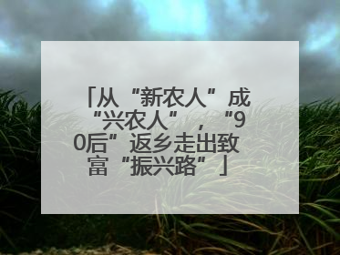 从“新农人”成“兴农人”，“90后”返乡走出致富“振兴路”
