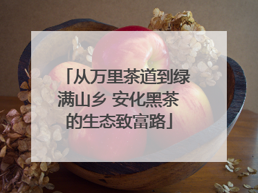 从万里茶道到绿满山乡 安化黑茶的生态致富路
