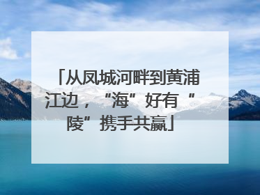 从凤城河畔到黄浦江边，“海”好有“陵”携手共赢