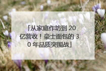 从家庭作坊到 20 亿营收！豪士面包的 30 年品质突围战