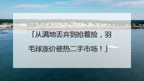从满地丢弃到抢着捡，羽毛球涨价催热二手市场！