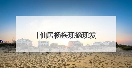 仙居杨梅现摘现发！顺丰航空件“上午寄，当天达”，“梅”好送到家！