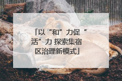 以“和”力促“活”力 探索集宿区治理新模式