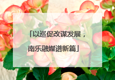 以巡促改谋发展，南乐融媒谱新篇