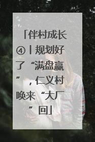 伴村成长④丨规划好了“满盘赢”，仁义村唤来“大厂”回