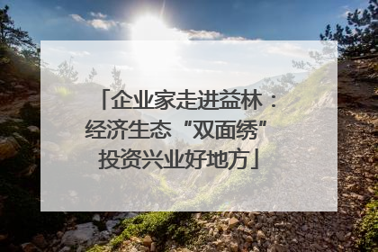 企业家走进益林：经济生态“双面绣” 投资兴业好地方