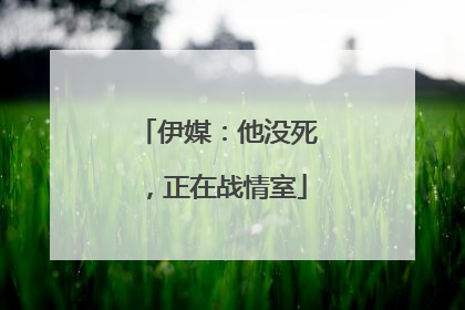 伊媒：他没死，正在战情室