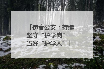 伊春公安：持续坚守“护学岗” 当好“护学人”