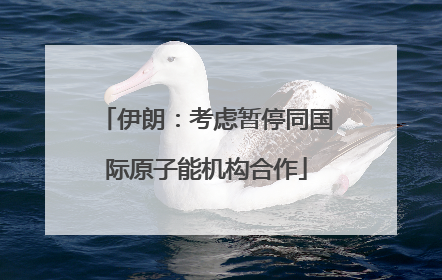 伊朗：考虑暂停同国际原子能机构合作