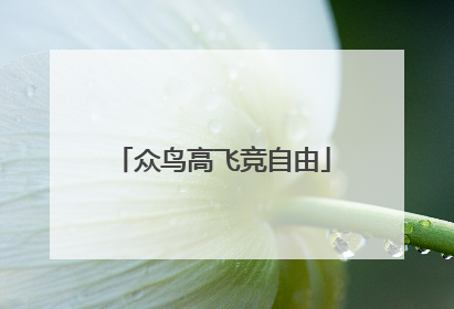 众鸟高飞竞自由