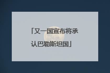 又一国宣布将承认巴勒斯坦国