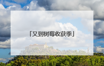 又到树莓收获季
