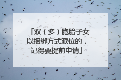 双（多）胞胎子女以捆绑方式派位的，记得要提前申请