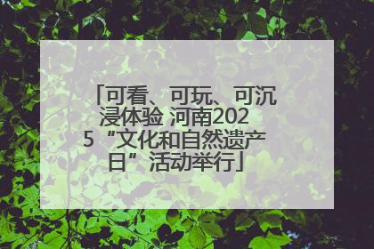 可看、可玩、可沉浸体验 河南2025“文化和自然遗产日”活动举行