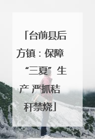 台前县后方镇：保障“三夏”生产 严抓秸秆禁烧