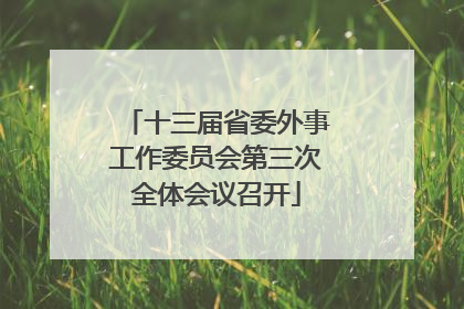 十三届省委外事工作委员会第三次全体会议召开