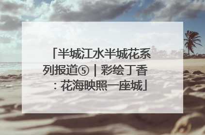 半城江水半城花系列报道⑤｜彩绘丁香：花海映照一座城