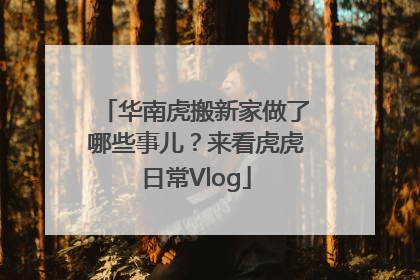 华南虎搬新家做了哪些事儿？来看虎虎日常Vlog