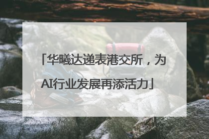 华曦达递表港交所，为AI行业发展再添活力