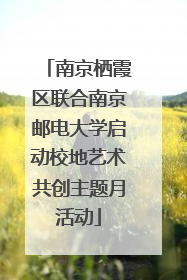 南京栖霞区联合南京邮电大学启动校地艺术共创主题月活动