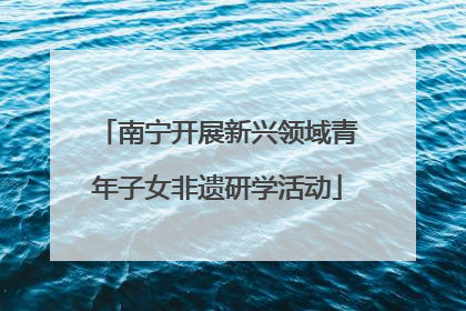 南宁开展新兴领域青年子女非遗研学活动