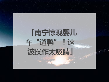 南宁惊现婴儿车“遛鸭”！这波操作太吸睛