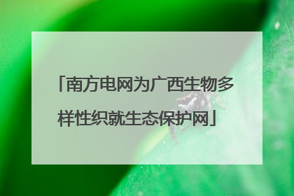 南方电网为广西生物多样性织就生态保护网