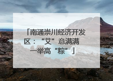 南通崇川经济开发区：“艾”意满满 一举高“粽”