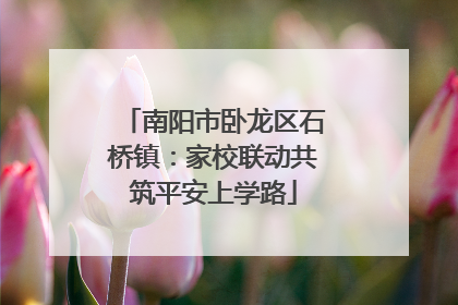 南阳市卧龙区石桥镇：家校联动共筑平安上学路