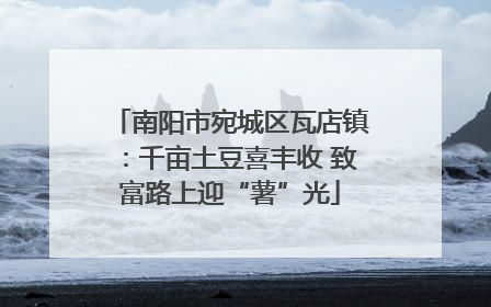 南阳市宛城区瓦店镇：千亩土豆喜丰收 致富路上迎“薯”光