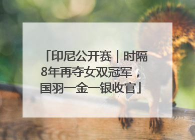 印尼公开赛｜时隔8年再夺女双冠军，国羽一金一银收官