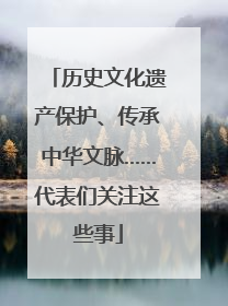 历史文化遗产保护、传承中华文脉……代表们关注这些事