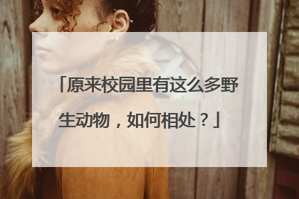 原来校园里有这么多野生动物，如何相处？