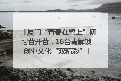 厦门“青春在鹭上”研习营开营，16台青解锁创业文化“双精彩”