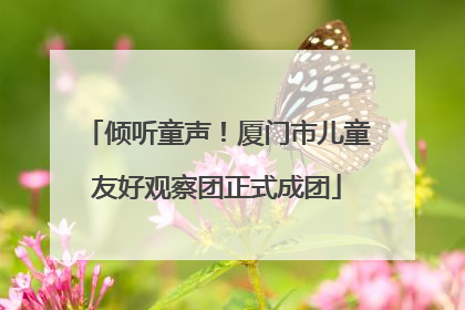 倾听童声！厦门市儿童友好观察团正式成团
