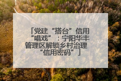 党建“搭台”信用“唱戏”：宁阳华丰管理区解锁乡村治理“信用密码”