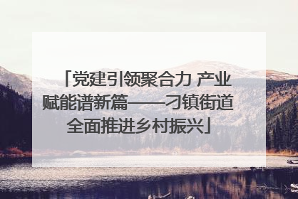党建引领聚合力 产业赋能谱新篇——刁镇街道全面推进乡村振兴