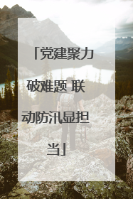 党建聚力破难题 联动防汛显担当
